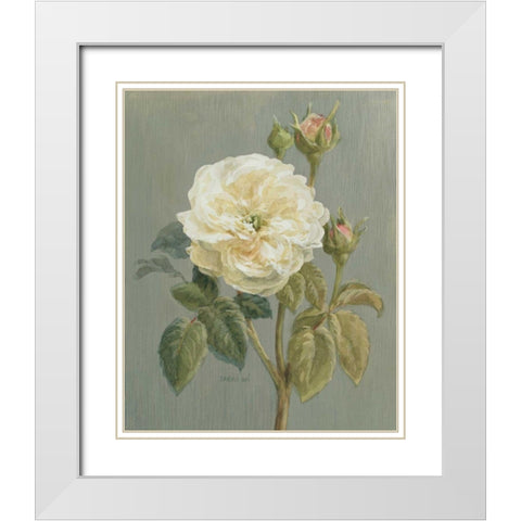 Heirloom White Rose White Modern Wood Framed Art Print with Double Matting by Nai, Danhui