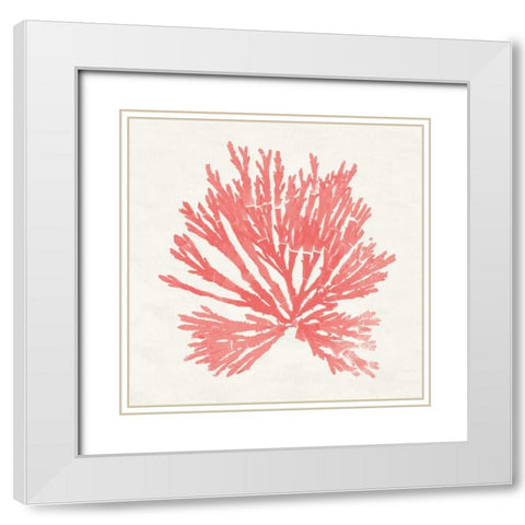 Pacific Sea Mosses II Coral White Modern Wood Framed Art Print with Double Matting by Wild Apple Portfolio