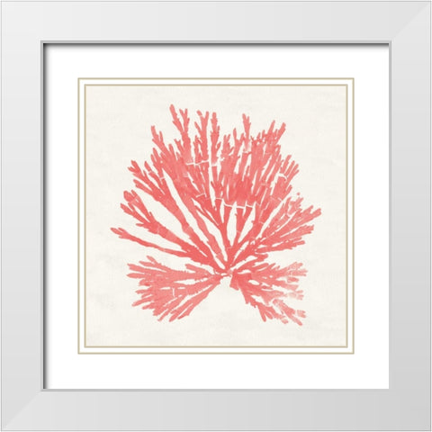 Pacific Sea Mosses II Coral White Modern Wood Framed Art Print with Double Matting by Wild Apple Portfolio