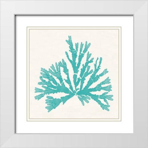 Pacific Sea Mosses IV Aqua White Modern Wood Framed Art Print with Double Matting by Wild Apple Portfolio