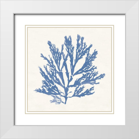 Pacific Sea Mosses I Light Blue White Modern Wood Framed Art Print with Double Matting by Wild Apple Portfolio