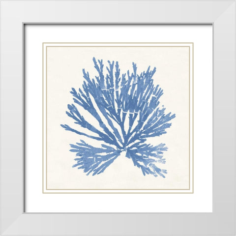 Pacific Sea Mosses II Light Blue White Modern Wood Framed Art Print with Double Matting by Wild Apple Portfolio