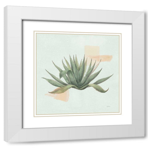 Desert Color Succulent I Mint White Modern Wood Framed Art Print with Double Matting by Schlabach, Sue