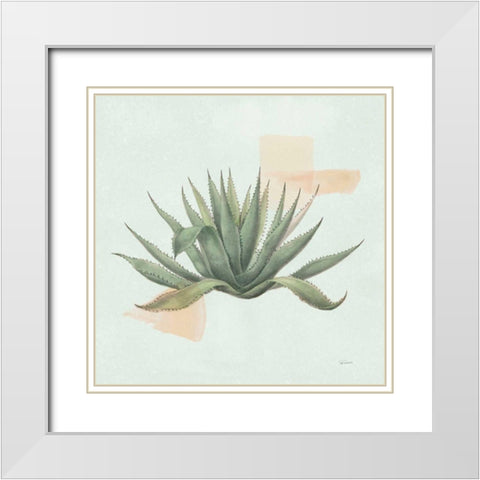 Desert Color Succulent I Mint White Modern Wood Framed Art Print with Double Matting by Schlabach, Sue