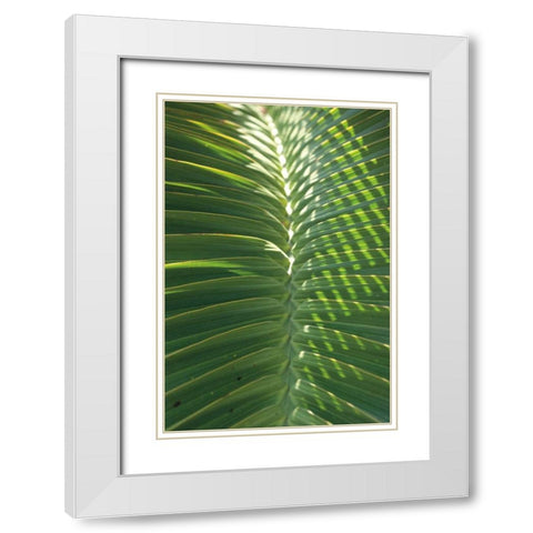 Palm Detail I White Modern Wood Framed Art Print with Double Matting by Wild Apple Portfolio