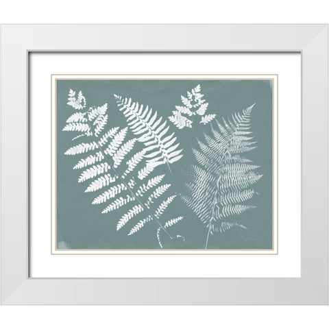 Nature by the Lake Ferns II Gray Mist Crop White Modern Wood Framed Art Print with Double Matting by Rhue, Piper