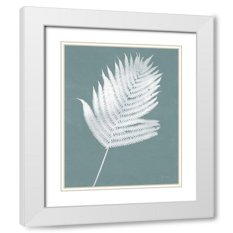 Nature by the Lake Ferns III Gray Mist Crop White Modern Wood Framed Art Print with Double Matting by Rhue, Piper