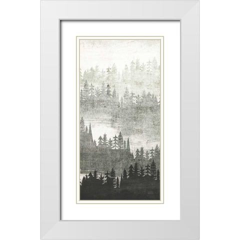 Mountainscape Silver Panel II White Modern Wood Framed Art Print with Double Matting by Mullan, Michael