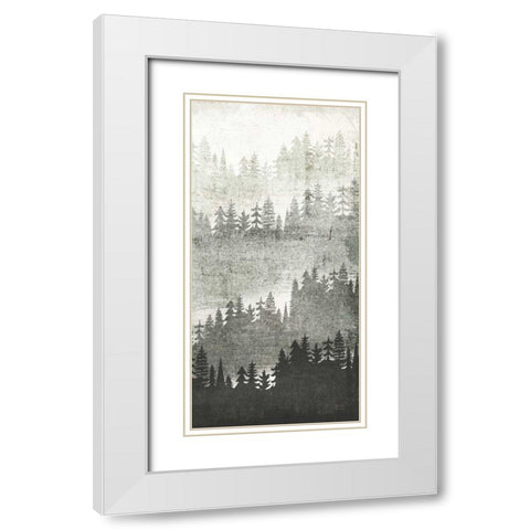 Mountainscape Silver Panel III White Modern Wood Framed Art Print with Double Matting by Mullan, Michael