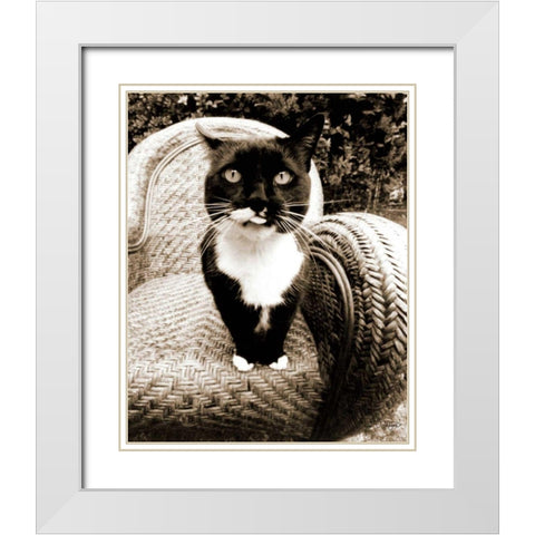 Kitty I White Modern Wood Framed Art Print with Double Matting by Dratfield, Jim