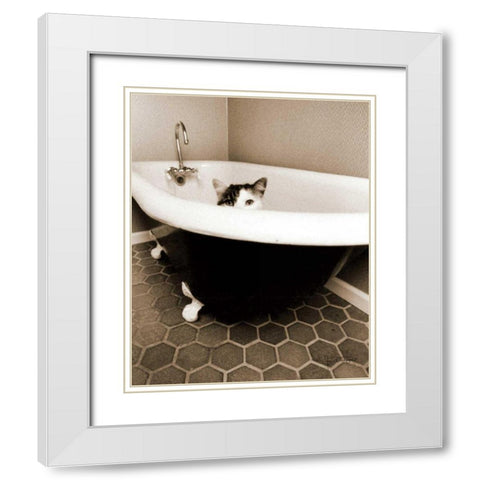 Kitty III White Modern Wood Framed Art Print with Double Matting by Dratfield, Jim