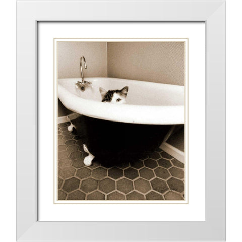 Kitty III White Modern Wood Framed Art Print with Double Matting by Dratfield, Jim