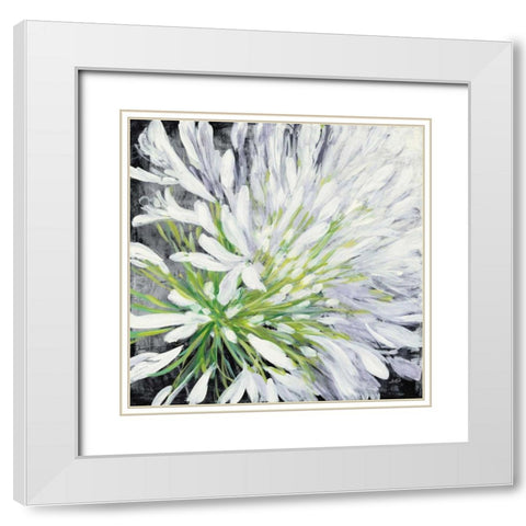 Cleome Splash II Black White Modern Wood Framed Art Print with Double Matting by Purinton, Julia