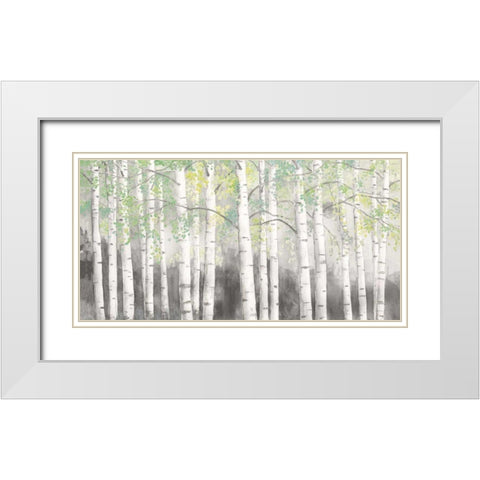 Soft Birches Charcoal White Modern Wood Framed Art Print with Double Matting by Wiens, James