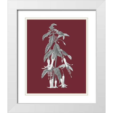 Pomegranate Botanical I White Modern Wood Framed Art Print with Double Matting by Wild Apple Portfolio