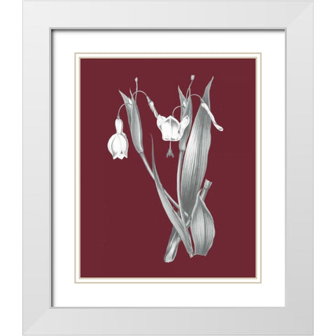 Pomegranate Botanical II White Modern Wood Framed Art Print with Double Matting by Wild Apple Portfolio