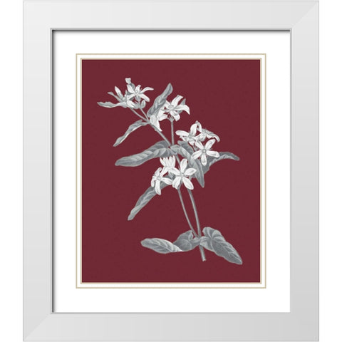 Pomegranate Botanical IV White Modern Wood Framed Art Print with Double Matting by Wild Apple Portfolio