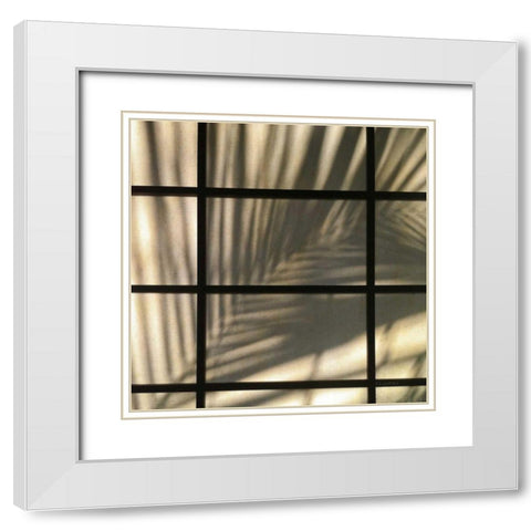 Palm Window White Modern Wood Framed Art Print with Double Matting by Goldstein, Ed
