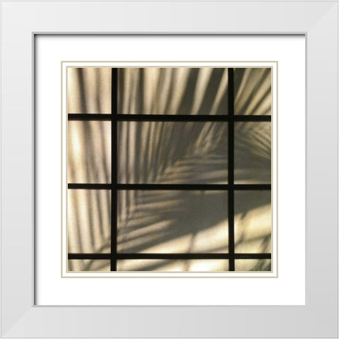Palm Window White Modern Wood Framed Art Print with Double Matting by Goldstein, Ed
