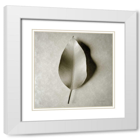 One Leaf White Modern Wood Framed Art Print with Double Matting by Goldstein, Ed