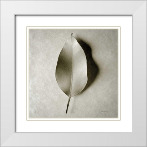 One Leaf White Modern Wood Framed Art Print with Double Matting by Goldstein, Ed
