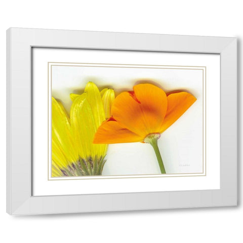 Flower Friends White Modern Wood Framed Art Print with Double Matting by Goldstein, Ed