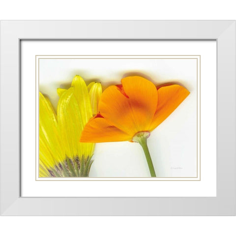 Flower Friends White Modern Wood Framed Art Print with Double Matting by Goldstein, Ed