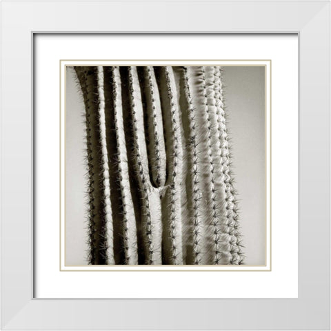 Cactus Star White Modern Wood Framed Art Print with Double Matting by Goldstein, Ed