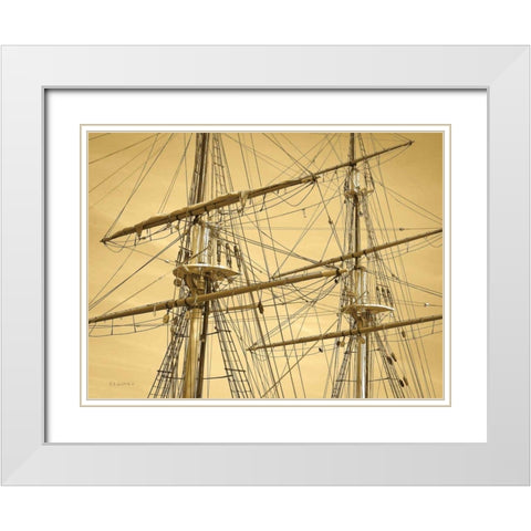 Crows Nest White Modern Wood Framed Art Print with Double Matting by Goldstein, Ed