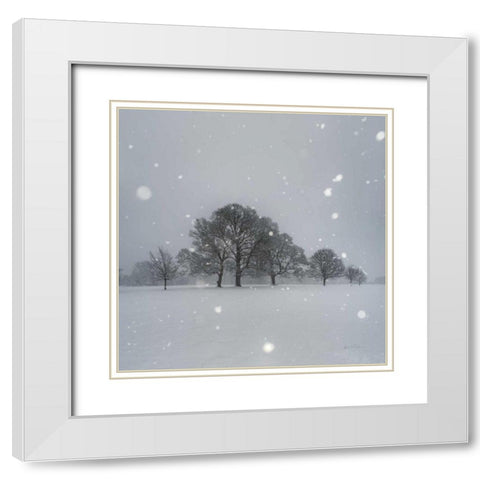 Trees in Snow White Modern Wood Framed Art Print with Double Matting by Eichman, Andre