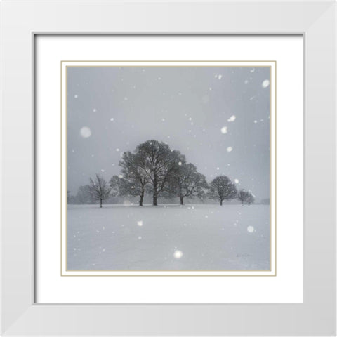 Trees in Snow White Modern Wood Framed Art Print with Double Matting by Eichman, Andre