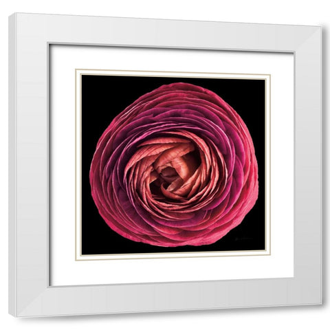 Floral Majesty I White Modern Wood Framed Art Print with Double Matting by Eichman, Andre