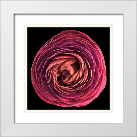 Floral Majesty I White Modern Wood Framed Art Print with Double Matting by Eichman, Andre