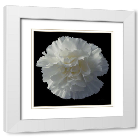 Floral Majesty III White Modern Wood Framed Art Print with Double Matting by Eichman, Andre