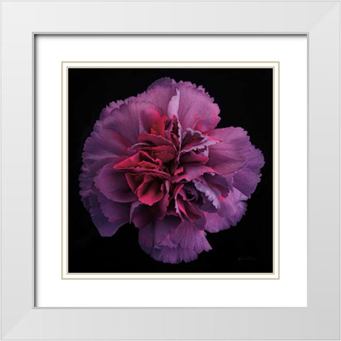 Floral Majesty IV White Modern Wood Framed Art Print with Double Matting by Eichman, Andre