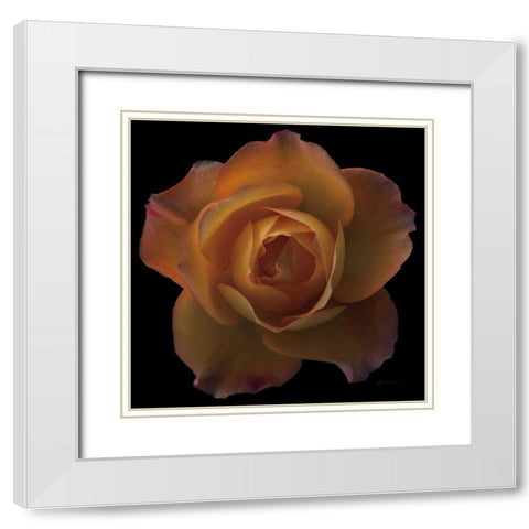 Floral Majesty V White Modern Wood Framed Art Print with Double Matting by Eichman, Andre