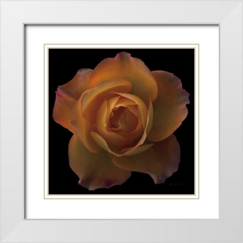 Floral Majesty V White Modern Wood Framed Art Print with Double Matting by Eichman, Andre