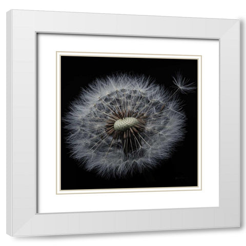 Floral Majesty X White Modern Wood Framed Art Print with Double Matting by Eichman, Andre