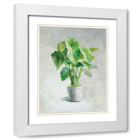 Greenhouse Palm I White Modern Wood Framed Art Print with Double Matting by Nai, Danhui