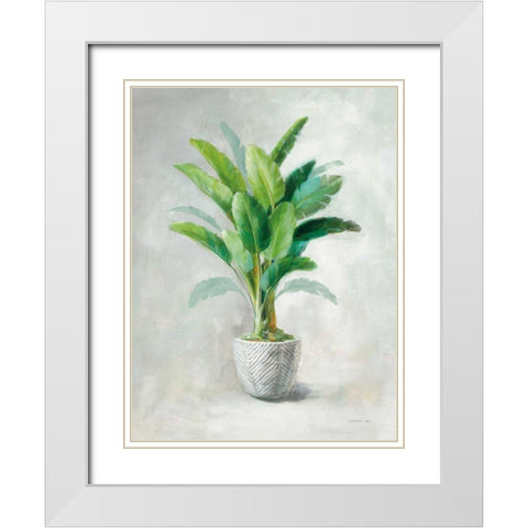 Greenhouse Palm II White Modern Wood Framed Art Print with Double Matting by Nai, Danhui