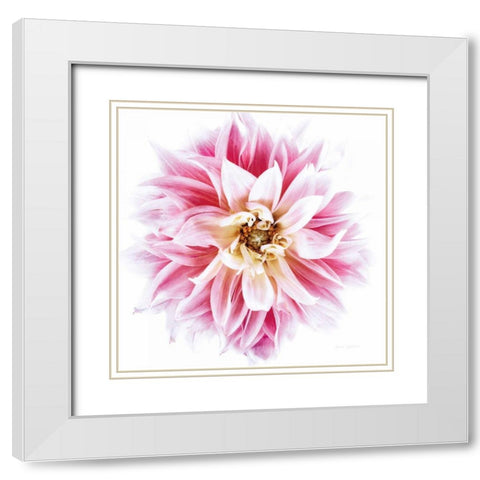 Pink Dahlia White Modern Wood Framed Art Print with Double Matting by Catterall, Elise