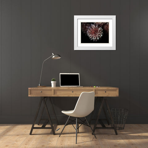Peach Dahlias White Modern Wood Framed Art Print with Double Matting by Catterall, Elise