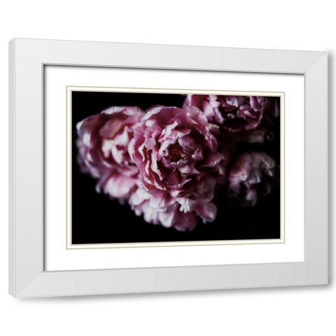 Pink Double Tulips White Modern Wood Framed Art Print with Double Matting by Catterall, Elise