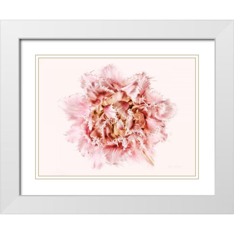 Pink Fringed Tulip White Modern Wood Framed Art Print with Double Matting by Catterall, Elise