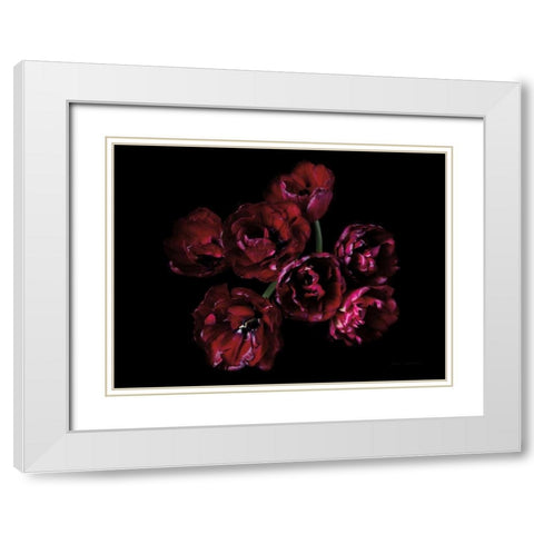 Red Double Tulips White Modern Wood Framed Art Print with Double Matting by Catterall, Elise