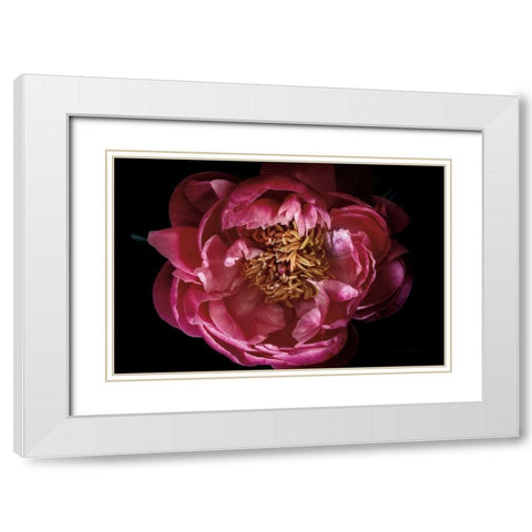 Coral Peony White Modern Wood Framed Art Print with Double Matting by Catterall, Elise