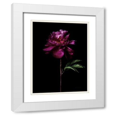 Peony Portrait White Modern Wood Framed Art Print with Double Matting by Catterall, Elise