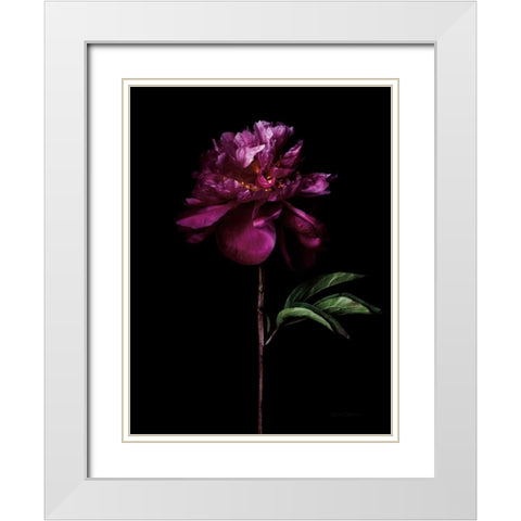Peony Portrait White Modern Wood Framed Art Print with Double Matting by Catterall, Elise