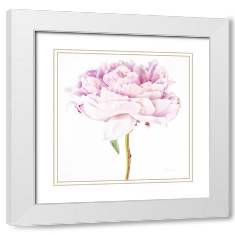 Single Pink Peony White Modern Wood Framed Art Print with Double Matting by Catterall, Elise