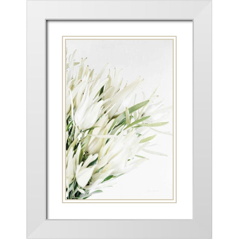 Leucadendron White Modern Wood Framed Art Print with Double Matting by Catterall, Elise